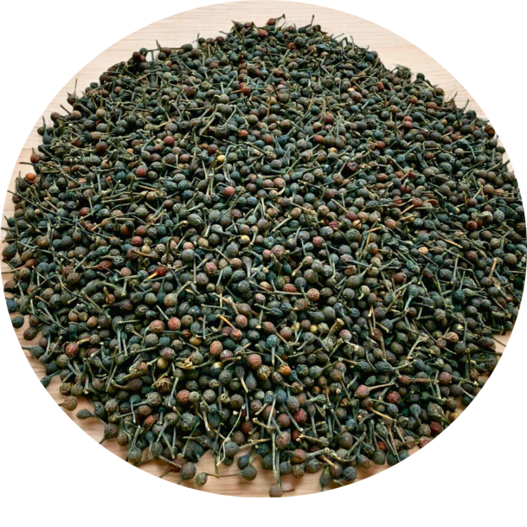 Epices et petites baies vertes et brunes, avec des tiges, sur un fond lumineux.